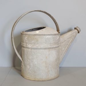 31289 Watering Can
