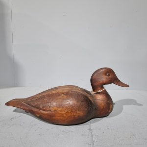Decoy Duck